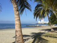 Beach at Noon